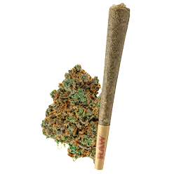 Pre-Rolls